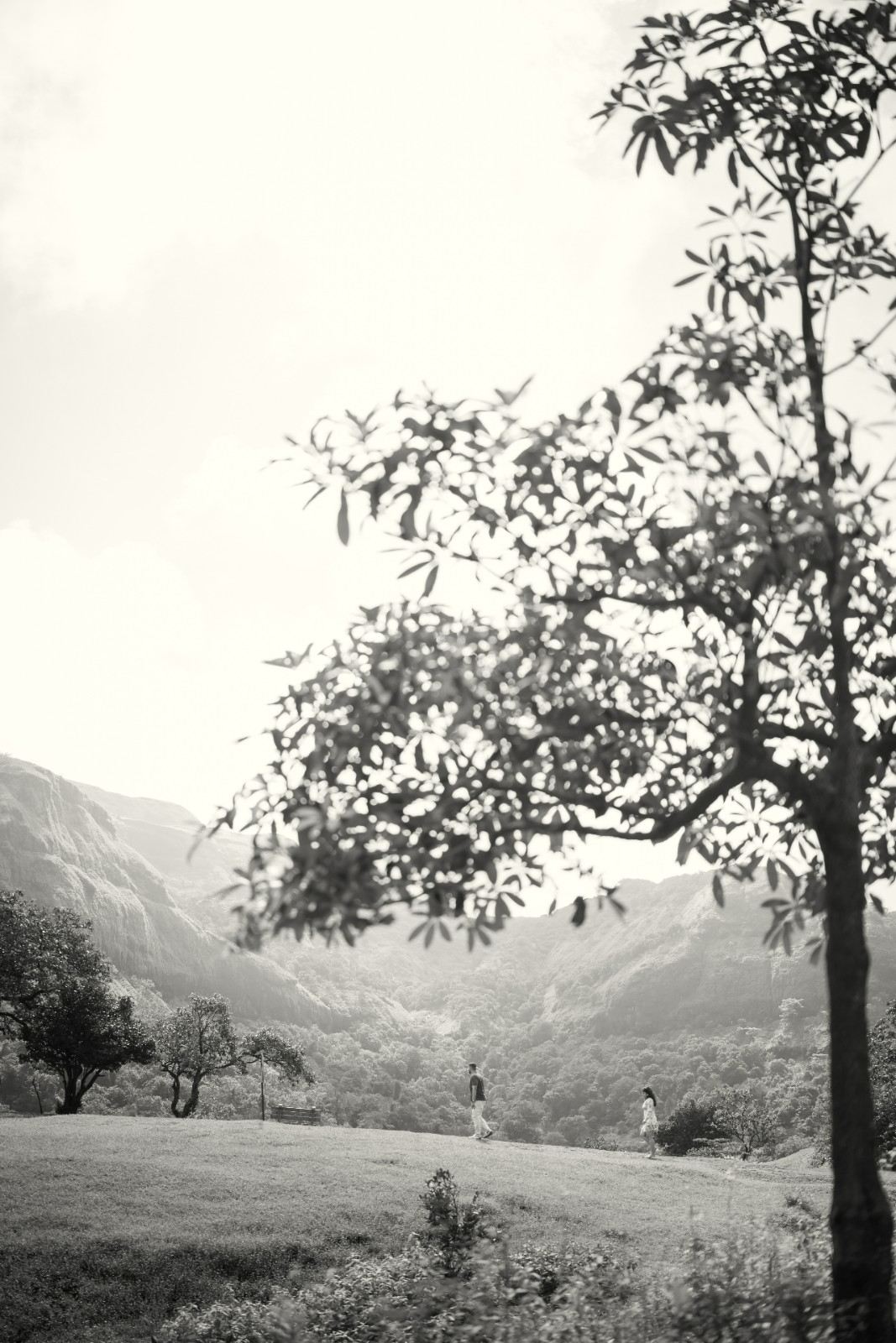Ritesh and Sneha wedding photograph